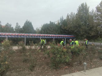 “Təmiz qəsəbəm” devizi altında növbəti təmizlik aksiyası keçirilib