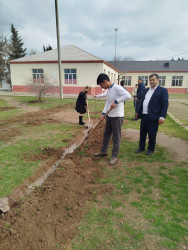 “Şəhərsalma və Memarlıq İli” və Novruz bayramının gəlişi ilə əlaqədar  ümumrayon iməciliyi keçirilib