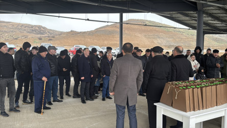 Horovlu kəndi yenidən həyatla dolur