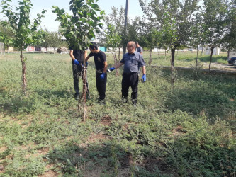 “Şəhərsalma və Memarlıq İli” çərçivəsində təmizlik aksiyası keçirilib