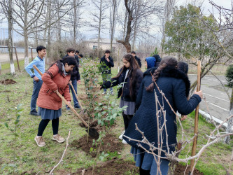 “Şəhərsalma və Memarlıq İli” və Novruz bayramının gəlişi ilə əlaqədar  ümumrayon iməciliyi keçirilib
