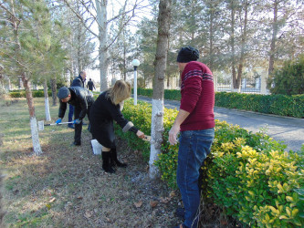 “Şəhərsalma və Memarlıq İli” və Novruz bayramının gəlişi ilə əlaqədar  ümumrayon iməciliyi keçirilib