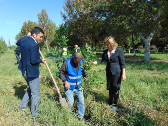 Cəbrayıl rayonunda 27 sentyabr – Anım Gününün beşinci ildönümü ilə əlaqədar ağacəkmə aksiyası keçirilib