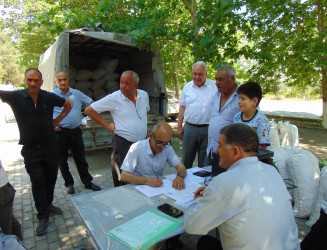 Cəbrayıl rayonunda yaş barama tədarükünə start verilmişdir