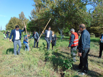 Cəbrayıl rayonunda 27 sentyabr – Anım Gününün beşinci ildönümü ilə əlaqədar ağacəkmə aksiyası keçirilib