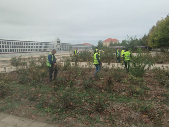 “Təmiz qəsəbəm” devizi altında növbəti təmizlik aksiyası keçirilib