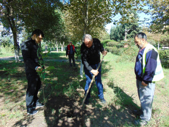 Cəbrayıl rayonunda 27 sentyabr – Anım Gününün beşinci ildönümü ilə əlaqədar ağacəkmə aksiyası keçirilib