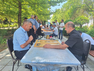 Cəbrayıl rayonunda nərd oyunu üzrə rayon birinciliyi keçirilib