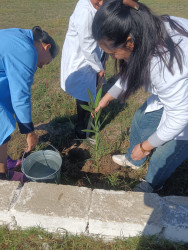 Cəbrayıl rayonunda 8 Noyabr Zəfər Gününün beşinci ildönümü ilə əlaqədar ağacəkmə aksiyası keçirilib