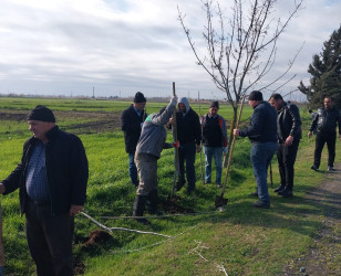 “Şəhərsalma və Memarlıq İli” və Novruz bayramının gəlişi ilə əlaqədar  ümumrayon iməciliyi keçirilib