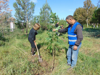Cəbrayıl rayonunda 27 sentyabr – Anım Gününün beşinci ildönümü ilə əlaqədar ağacəkmə aksiyası keçirilib