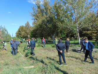 Cəbrayıl rayonunda 27 sentyabr – Anım Gününün beşinci ildönümü ilə əlaqədar ağacəkmə aksiyası keçirilib