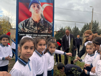 Cəbrayıl rayonunda 8 Noyabr Zəfər Gününün beşinci ildönümü ilə əlaqədar ağacəkmə aksiyası keçirilib