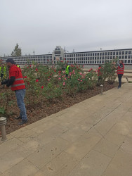 Cəbrayıl rayonunda 8 noyabr - Zəfər  gününün beşinci ildönümü ilə əlaqədar iməcilik keçirilib
