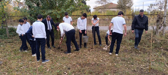 Cəbrayıl rayonunda 8 Noyabr Zəfər Gününün beşinci ildönümü ilə əlaqədar ağacəkmə aksiyası keçirilib