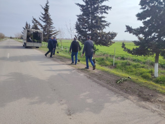 Şəhərsalma və Memarlıq ili çərçivəsində tədbirlər davam etdirilir