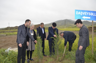 Kəndimizə qayıdırıq