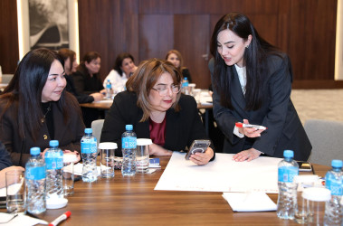Gender məsələləri üzrə məsul şəxslər üçün təlimlər davam edir