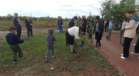 Cəbrayıl rayonunda 8 Noyabr Zəfər Gününün beşinci ildönümü ilə əlaqədar ağacəkmə aksiyası keçirilib