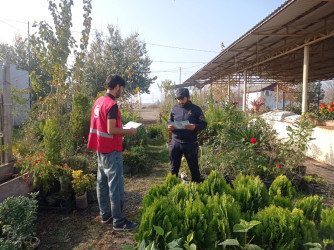 Cəbrayıl rayonunda sağlam həyat tərzi və davranış risk amilləri ilə bağlı aksiya keçirilib