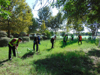 Cəbrayıl rayonunda 27 sentyabr – Anım Gününün beşinci ildönümü ilə əlaqədar ağacəkmə aksiyası keçirilib