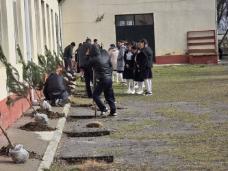 “Şəhərsalma və Memarlıq İli” və Novruz bayramının gəlişi ilə əlaqədar  ümumrayon iməciliyi keçirilib