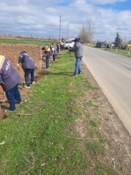 “Şəhərsalma və Memarlıq İli” və Novruz bayramının gəlişi ilə əlaqədar  ümumrayon iməciliyi keçirilib