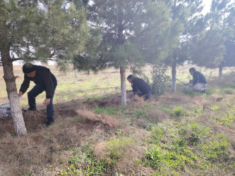 Şəhərsalma və Memarlıq ili çərçivəsində tədbirlər davam etdirilir