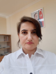 Cəbrayıl rayonunun bir qrup təhsil işçisi təltif edilib