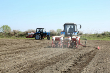 Cəbrayıl rayonunda əkin-səpin kampaniyasına başlanılıb