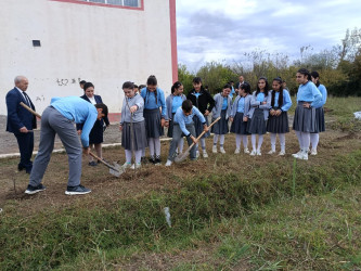 Cəbrayıl rayonunda 8 Noyabr Zəfər Gününün beşinci ildönümü ilə əlaqədar ağacəkmə aksiyası keçirilib